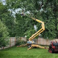 Best Arborist Consultation Services  in Snoqualmie, WA